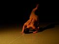 T-20140626-191410_P1550585-G aa-6